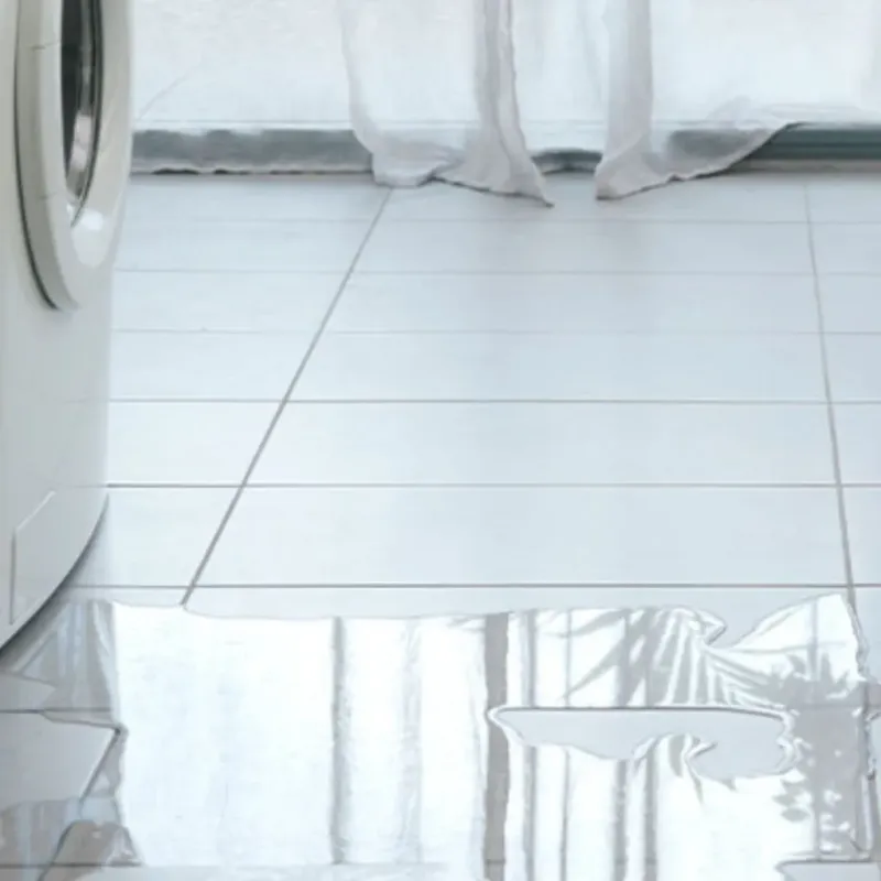 Appliance Leak Cleanup in Columbia, NC
