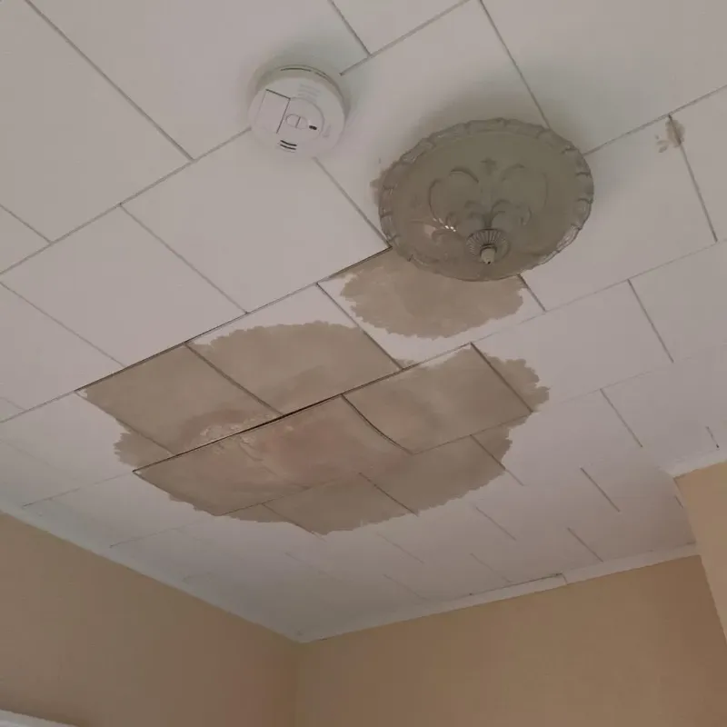 Ceiling Water Damage Repair in Columbia, NC