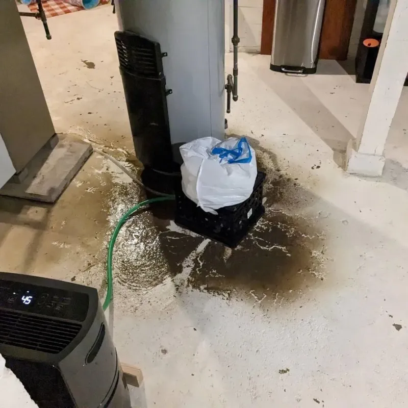 Sewage Backup Cleanup Service in Columbia, NC